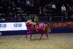 Quadrille - 00568